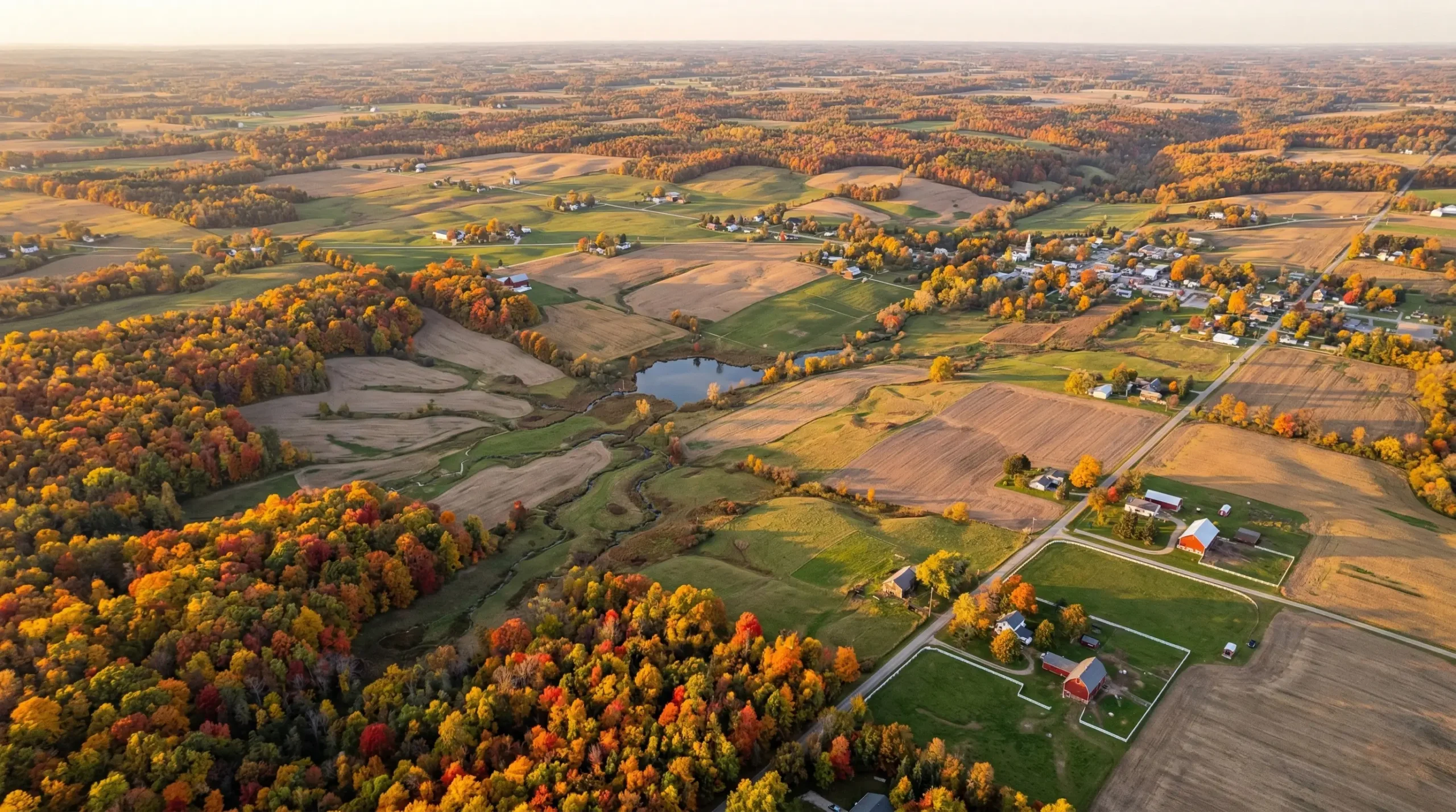 Pest control in Hillsdale County